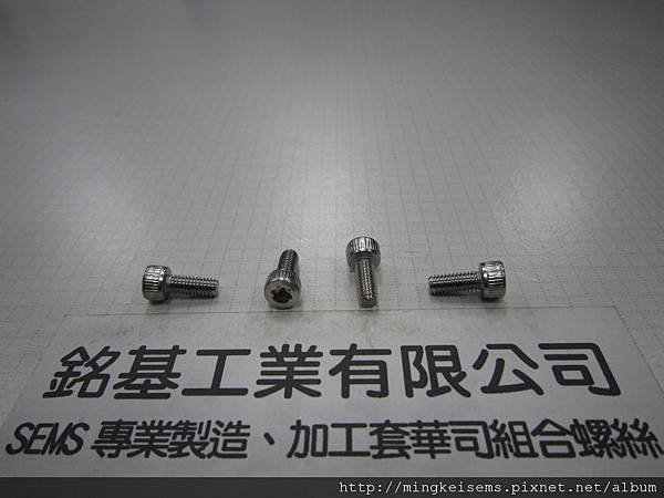 不鏽鋼T-20梅花孔螺絲   STAINLESS STEEL TORX SCREWS T-20