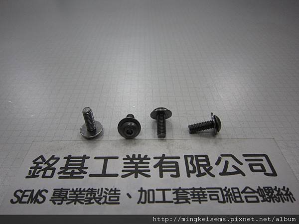 附華司螺絲 SEMS SCREWS 薄頭內六角孔螺絲套附平華司(墊圈)組合M4X12 HEX SOCKET LOW(THIN)HEAD CAP SCREWS &amp; FLAT WASHER(DIN 125)ASSEMBLED