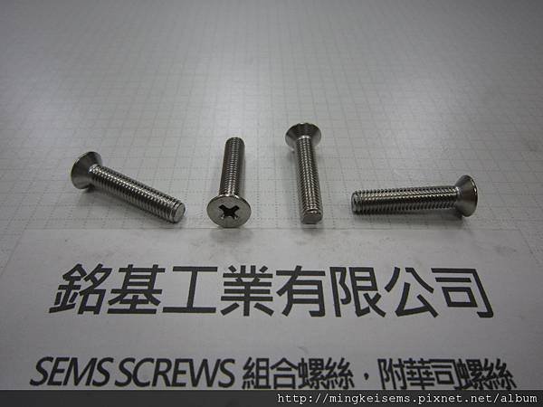 白鐵埋頭十字螺絲   STAINLESS STEEL FLAT HEAD PHILLIPS SCREW