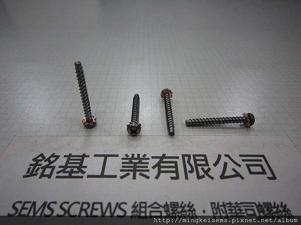 組合螺絲SEMS SCREWS 圓頭三角自攻牙螺絲套附外齒華司組合M3X25 PAN HEAD SELF TAPPING TRILOBULAR THREAD &amp; EXTERNAL TOOTHED LOCK WASHER ASSEMBLY