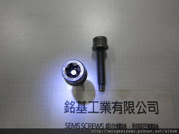 套華司螺絲 SEMS SCREWS 有頭內梅花孔中心柱螺絲套附平華司組合 M8X38 TORX CENTER COLUMN SCREWS &amp; FLAT WASHER COMBINATIONS