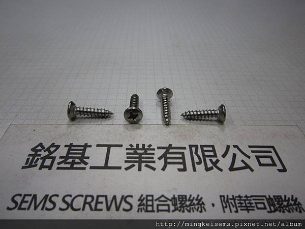 自攻牙螺絲 SELF TAPPING SCREWS 白鐵半圓平頭自攻牙螺絲M6#X4/8 STAINLESS STEEL BUTTON HEAD SELF TAPPING SCREWS