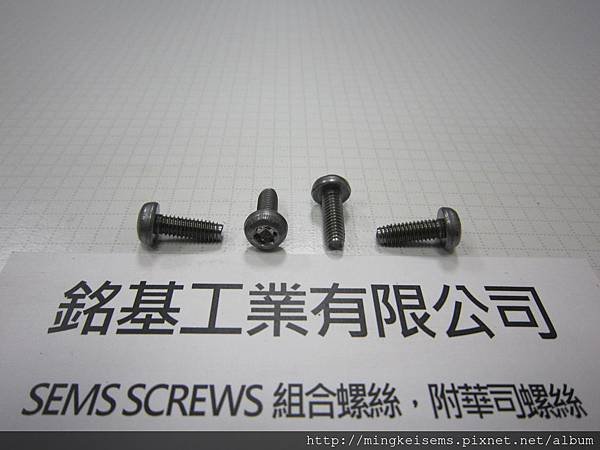 FASTENER SCREWS 內梅花孔三角牙螺絲 TORX TRILOBULAR THREAD SCREWS