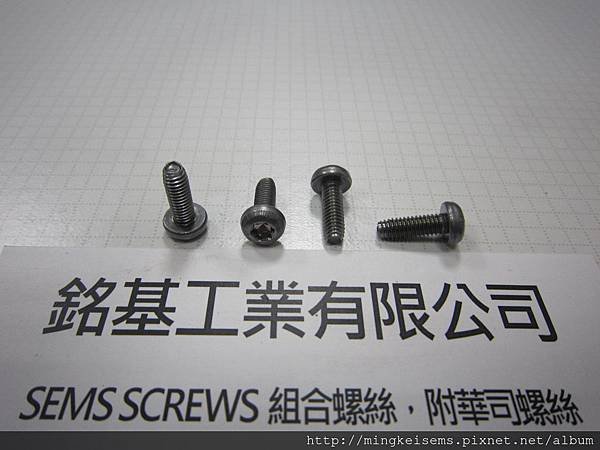 FASTENER SCREWS 內梅花孔三角牙螺絲 TORX TRILOBULAR THREAD SCREWS