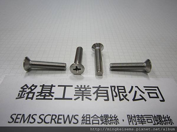 FASTENER SCREWS 白鐵皿頭十字螺絲  M5X25 STAINLESS STEEL PAN HEAD PHILLIPS SCREWS