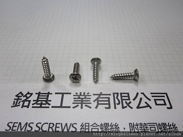 緊固件螺絲 FASTENER SCREWS 白鐵平底丸皿頭自攻牙螺絲 6#X5/8 STAINLESS STEEL PILLS PAN HEAD SELF TAPPING SCREWS 