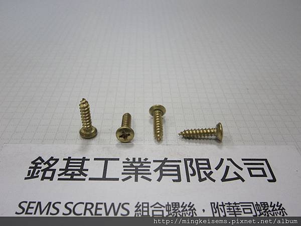 緊固件螺絲 FASTENER SCREWS 銅平底丸皿頭自攻牙螺絲 6#X5/8  BRASS PILLS PAN HEAD SELF TAPPING SCREWS 