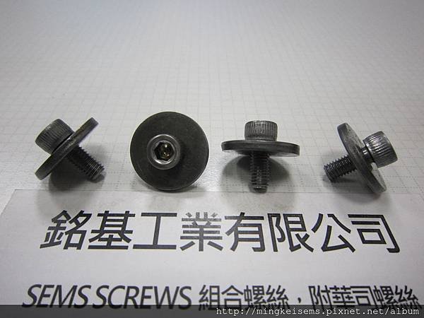 SEMS SCREWS 附華司螺絲 有頭內六角螺絲附平華司組合 M5X12 HEX SOCKET CAP SCREWS WITH FLAT WASHERS ASSEMBLIES 