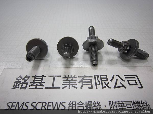 特殊組合螺絲   SEMS SCREWS M6X33  SPECIAL SCREWS WITH FLAT WASHERS ASSEMBLED  