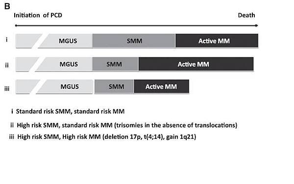 MGUS-SMM-AMM