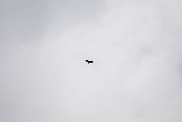 DSC_1590.JPG