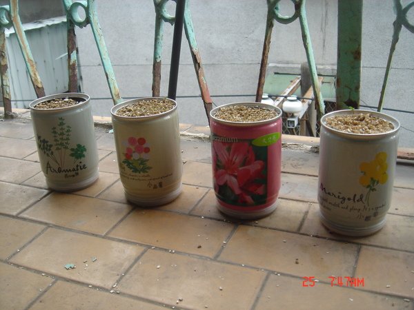 DSC08909.JPG