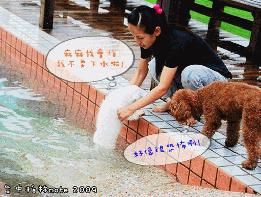 980815-35點點第一次游泳.gif