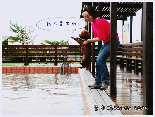 980815-36丸丸第一次游泳.gif