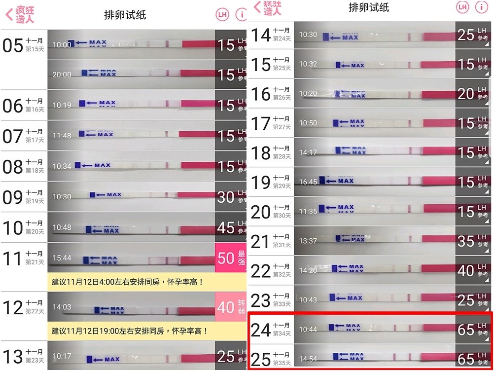 排卵試紙