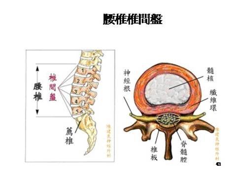 腰椎.jpg