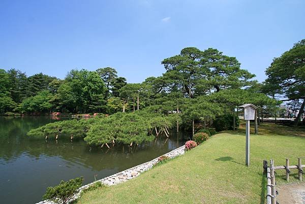 nEO_IMG_3737.jpg