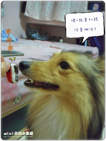 扣將山寨機