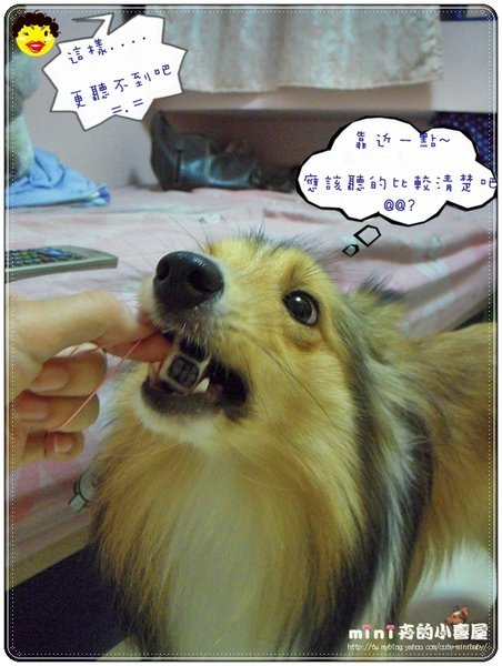 扣將山寨機