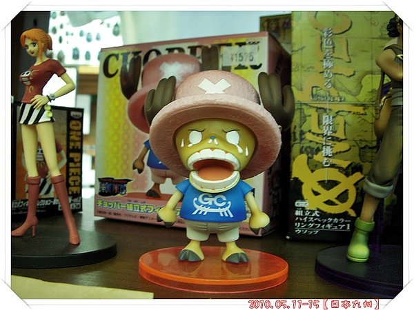 DSCN9316.JPG