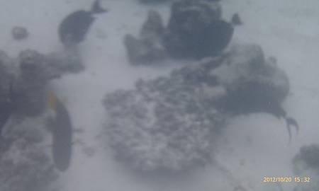IMAG0827