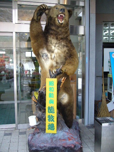 大熊.JPG