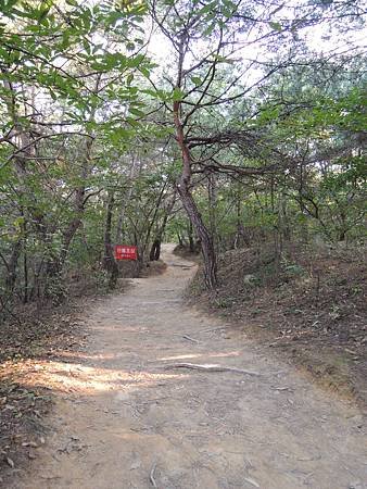 DSCN2187