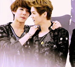 8.gif