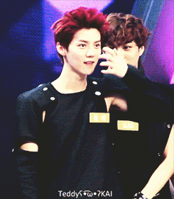 tumblr_mpmf0tvn481s56w5mo1_250.gif