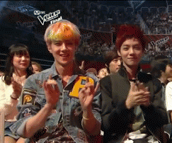 tumblr_mpwdf4sHHD1rj823eo1_250.gif