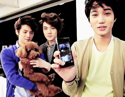 tumblr_mr9mfe81x61scxg4go1_500.gif