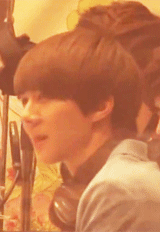 BFC01.gif