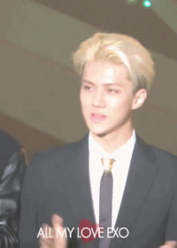 131114 1.gif