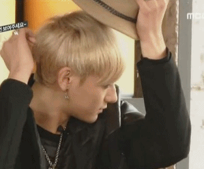 ST TAO 1.gif