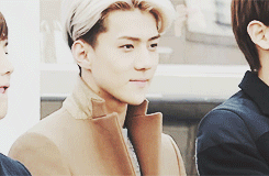 131201_to.gif
