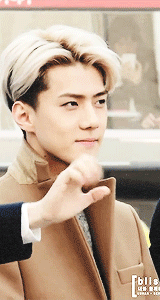 131201_what.gif