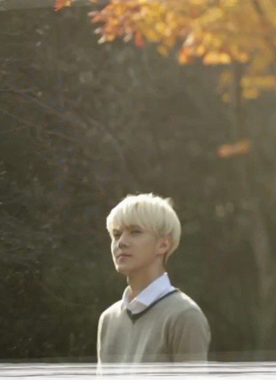 131204_5.gif