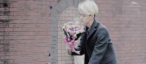 131204 MV.gif