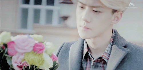131204 MV7.gif