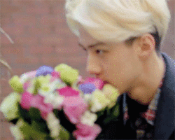 131204 MV91.gif