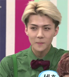1219OPEN.gif