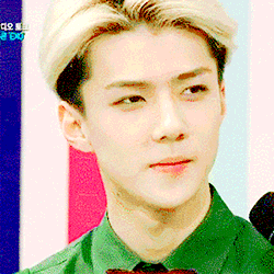 1219OPEN4.gif