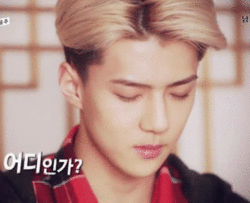 0109 4.gif