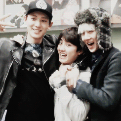 0110 o4.gif