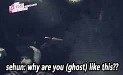 0130 19.gif