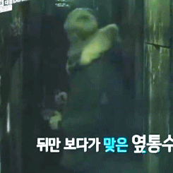 0130 20.gif