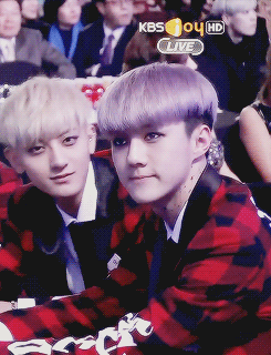20140128_.gif