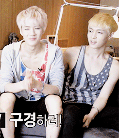 sh xing.gif