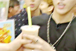 sh13.gif