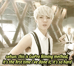 shsh.gif